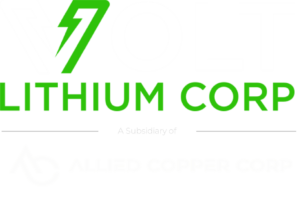 Image of Volt-Allied Copper reversed out logo.