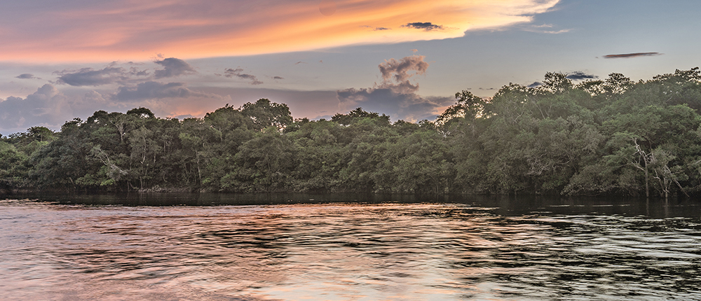 Image of reflection of a sunset by a lagoon inside the Amazon Rainforest Basin.
