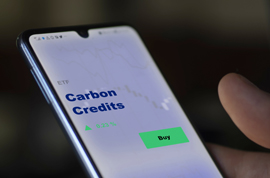 Image of an investor's analyzing carbon credits purchase on smartphone screen.