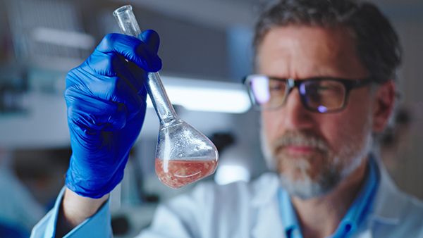 Researcher microbiologist in glassed shaking glassware with sample of cell cultured meat during work in lab