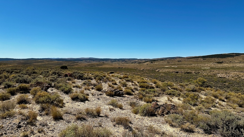 CB-Looking S along Second Ridge - Sept 25 2024_resized